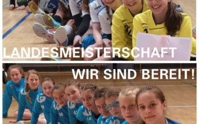 Endrunde der Landesmeisterschaft der D-Jugend