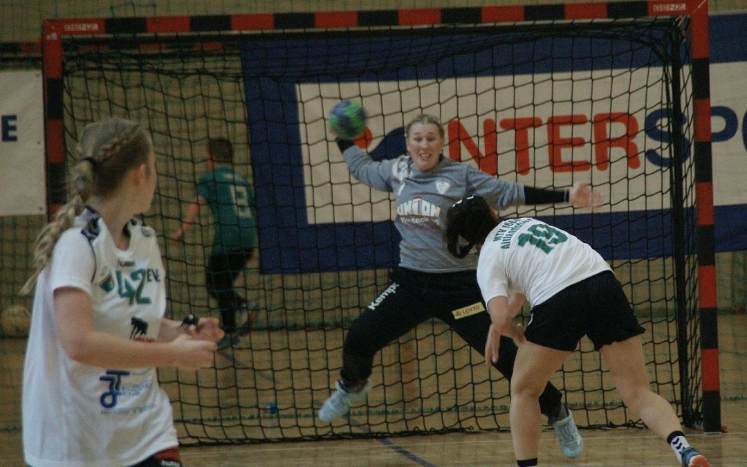 Dolphins in Spiellaune