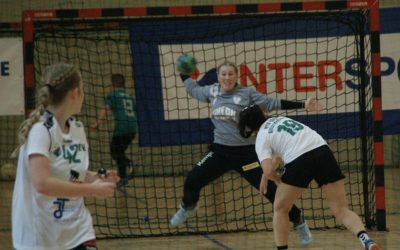Dolphins in Spiellaune