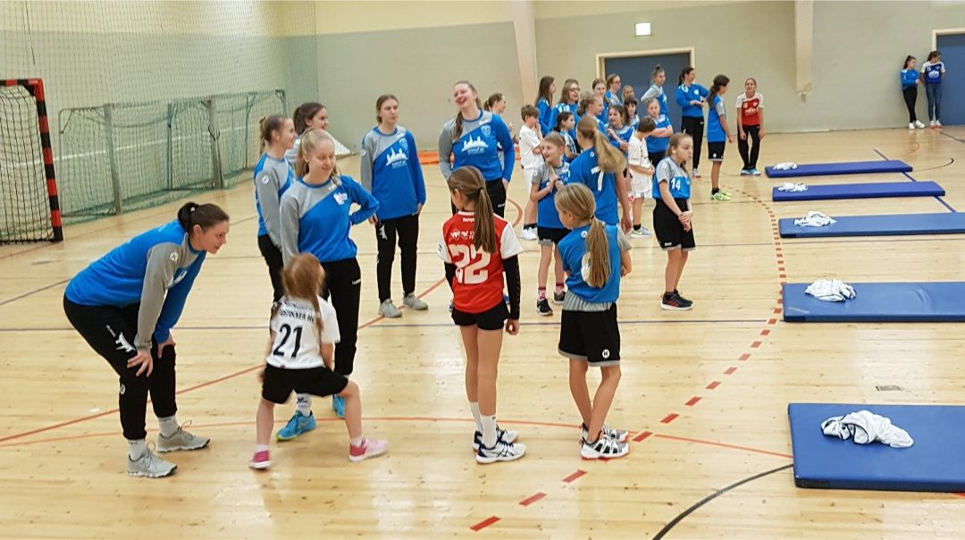 Von den Minis bis zu den Dolphins aktiv