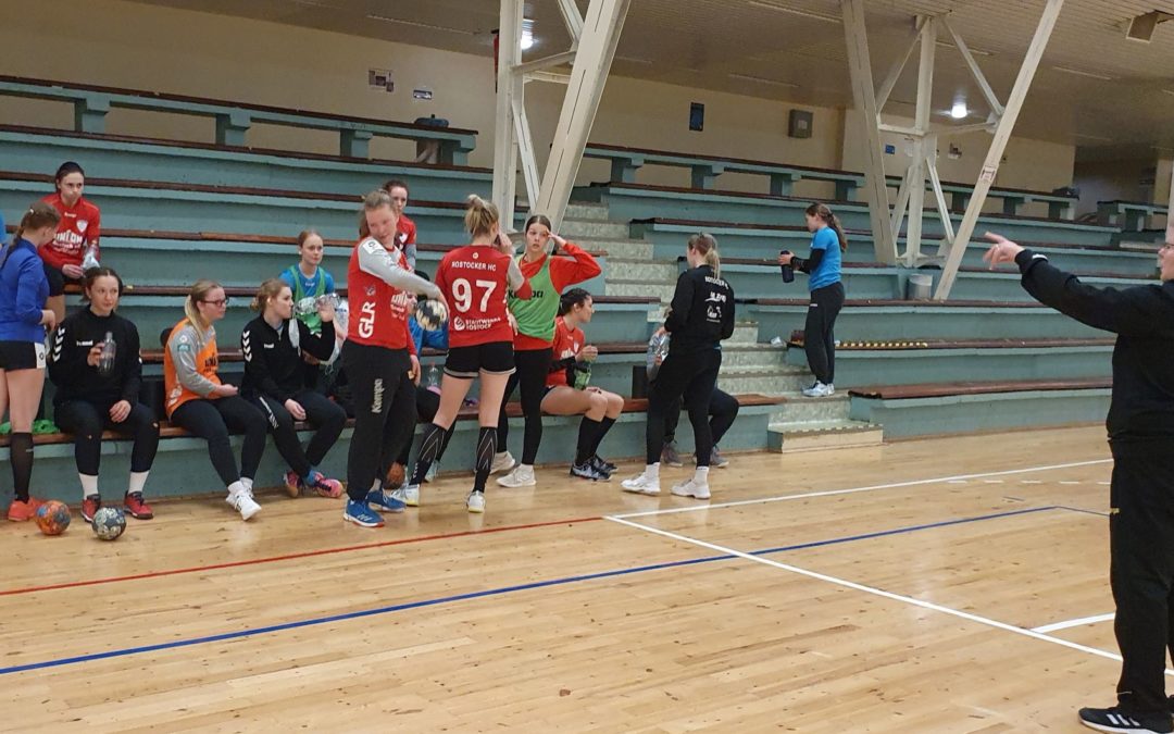 Dolphins nehmen nicht am Liga-Cup teil