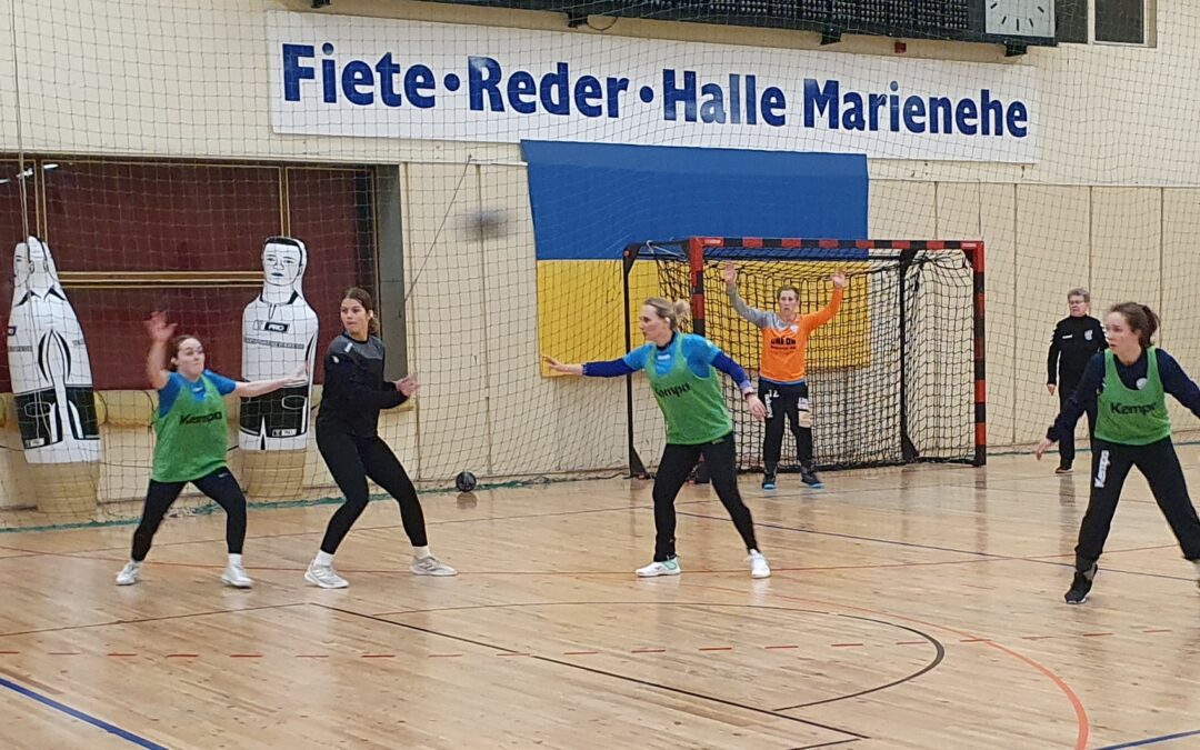 Dolphins Trainingsstart und Test gegen Reserve des Buxtehuder SV