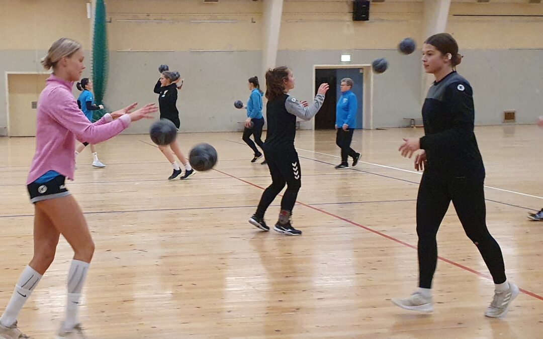 Dolphins spielen in Sachsen um wichtige Punkte