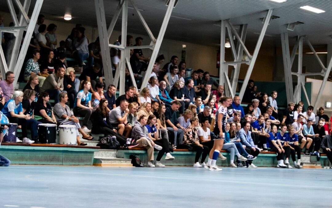 Dolphins-Day in Marienehe