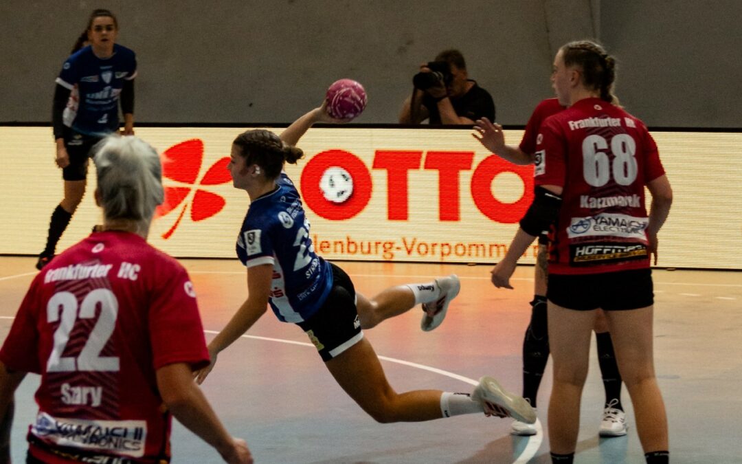 Dolphins empfangen VfL Stade