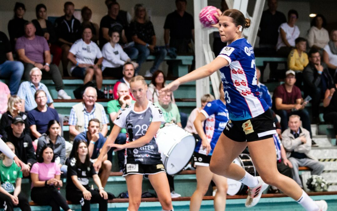 Dolphins testen gegen Schwerin