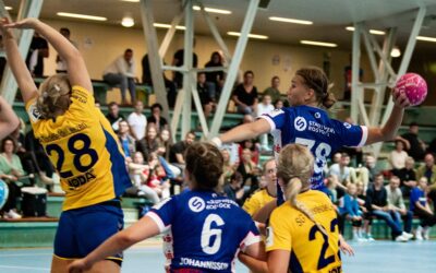 Dolphins starten Restprogramm