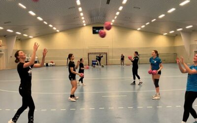 Dolphins mit Trainingsauftakt 2023