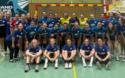 Gemeinsam mit den Dolphins unterwegs