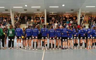 Dolphins gegen Frogs-Ladies