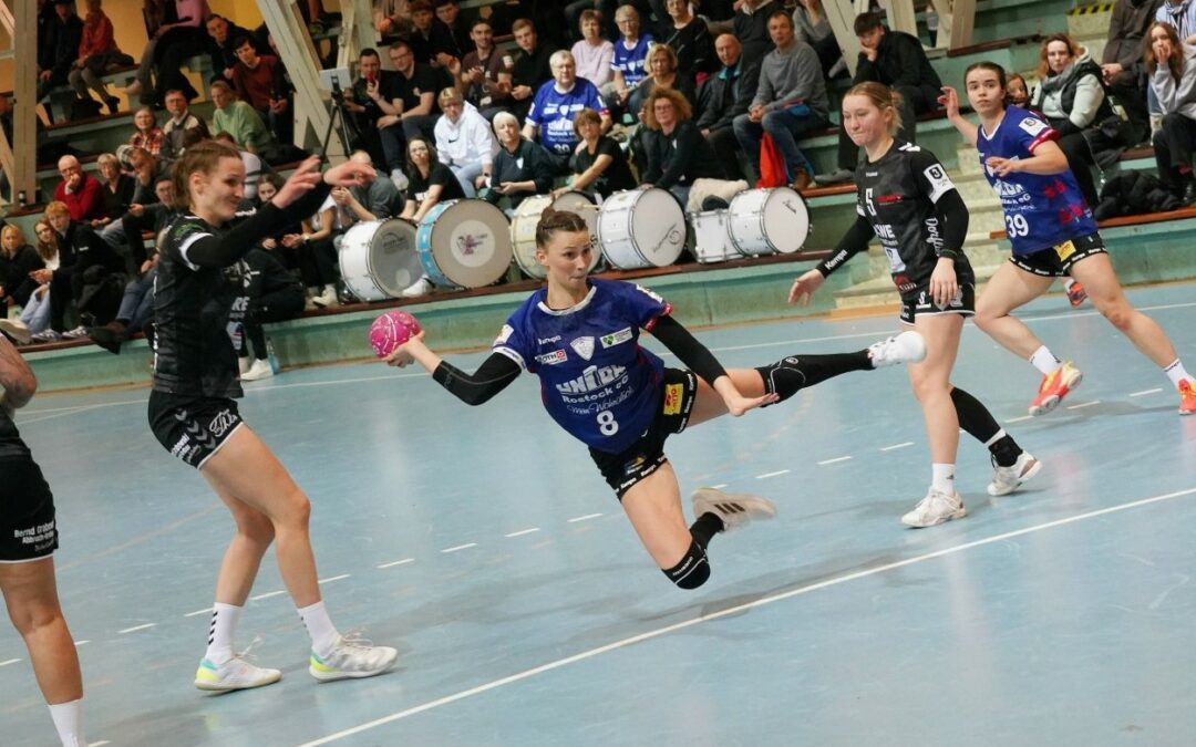 Dolphins reisen nach Sachsen