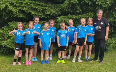 Toller Einsatz in Plau am See