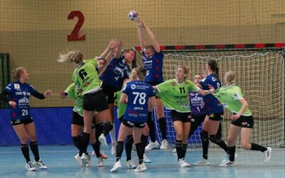 Dolphins wollen ungeschlagen bleiben